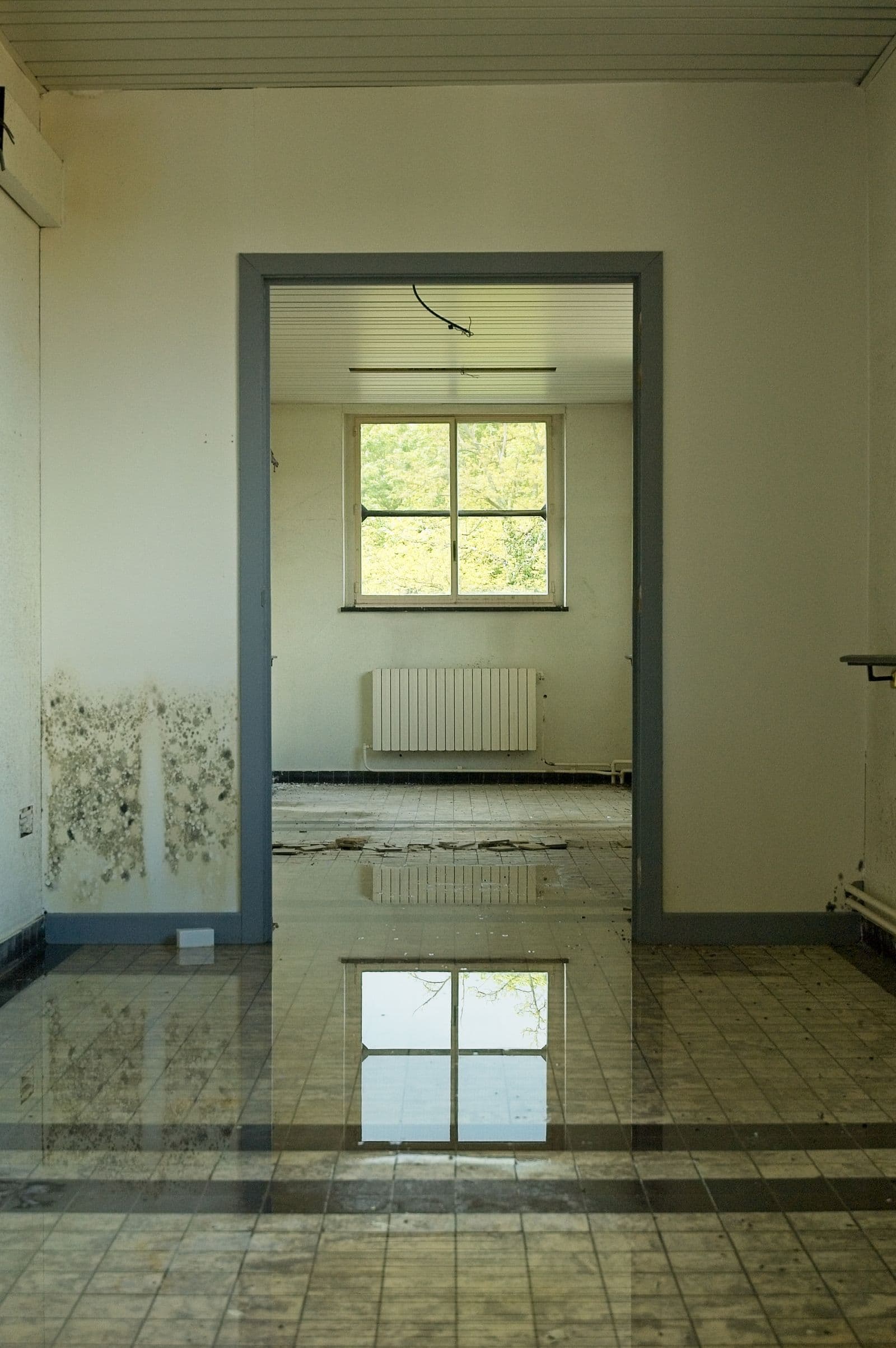 Room with standing water on the floor